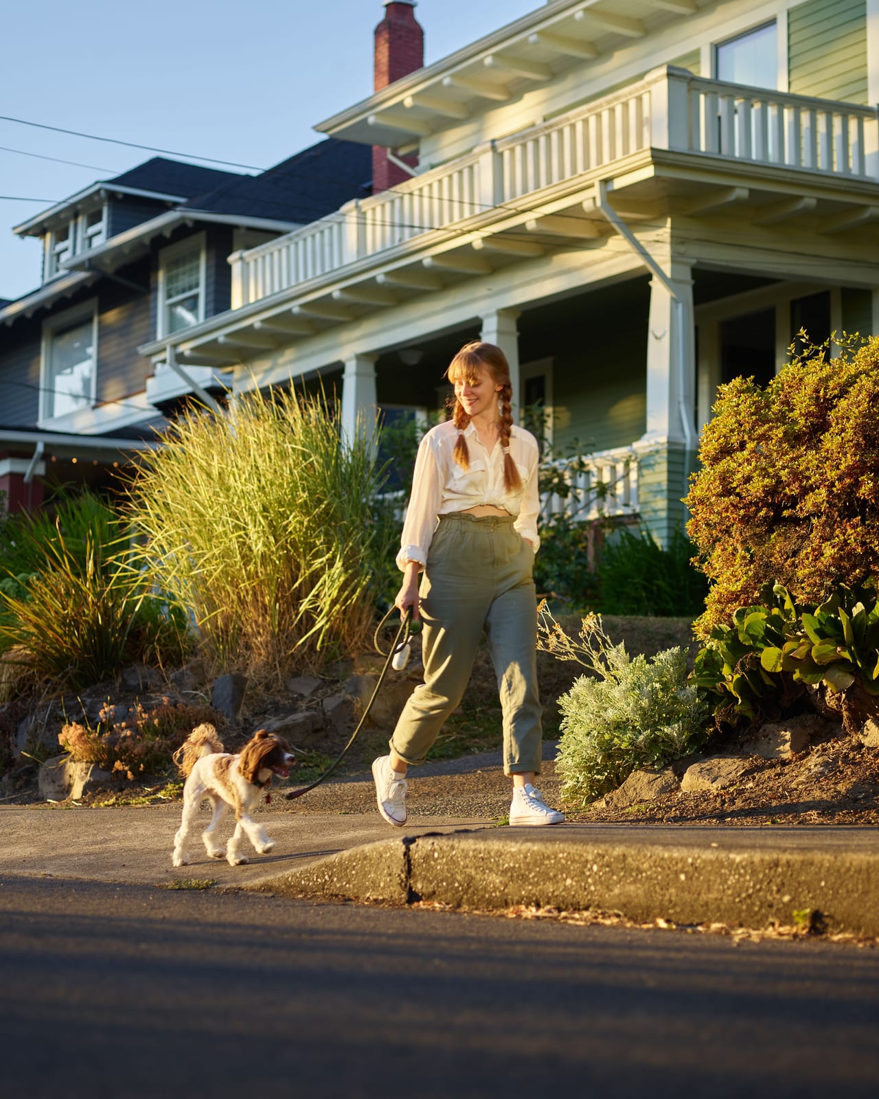 A woman walking a brown and white spaniel along a residential sidewalk at golden hour, a craftsman house and ornamental grasses behind them.
